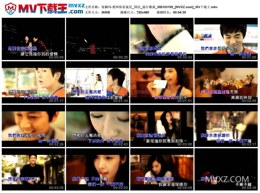 张桐玮-想和你看流星_国语_流行歌曲_MB103159